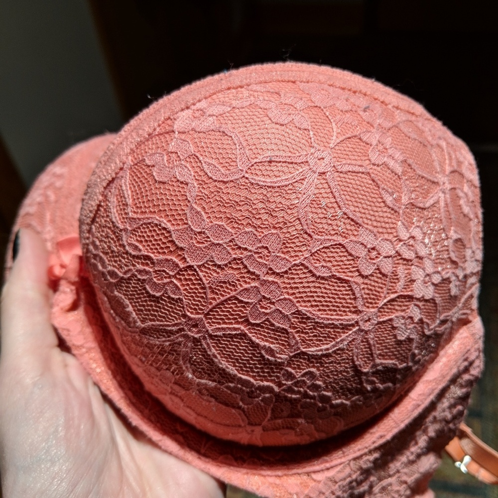 aerie Floral Push Up Bra